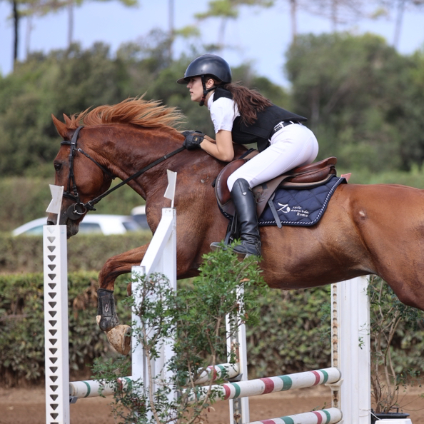 ginny_aquilanii🐴🌟