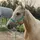 Ciara&Maisy🐴🤪