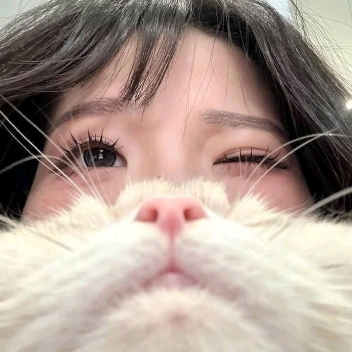 𝐚𝐧𝐠𝐞𝐥𝐚 [𝐂𝐂]