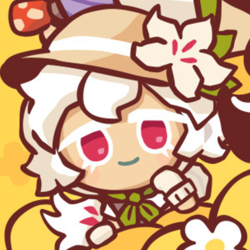 ✦ raileen ˙܀𖦹