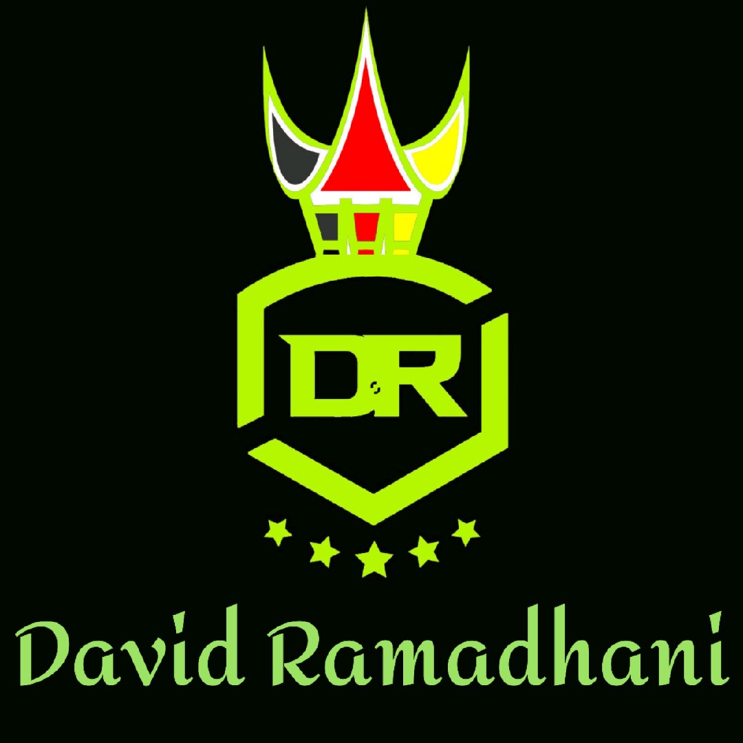 D   4   VID Official