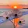 Butterfly_21 (LDR)