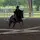 EvieEquestrian