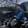 M_Opha[AP]
