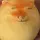 ℝ𝕦𝕟𝕒