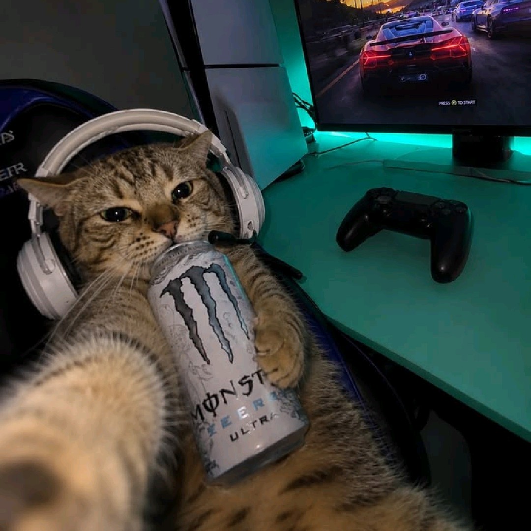 HANDZZZ[DEW]