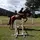 Josie&Bobby_12