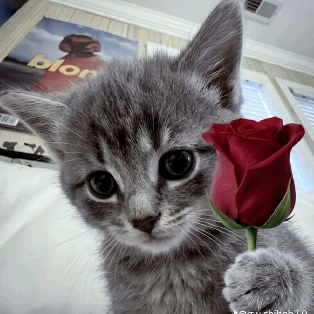 Cute❤️‍🔥