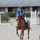 Ysaline_et_Colombe