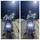 Ashiq Rc19