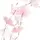s.sxnia_x