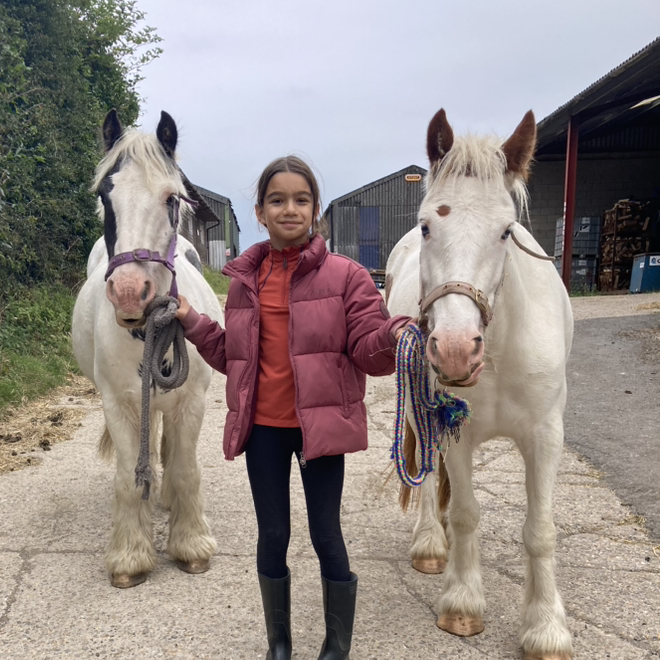 Indira equine 🐴❤️
