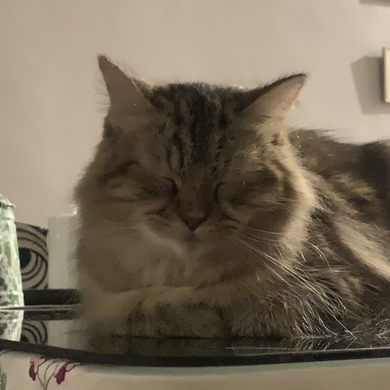 pip