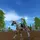 Starstable