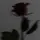 ∞︎︎💔⚡︎𝒥𝒶𝒹ℯ⚡︎💔∞︎︎
