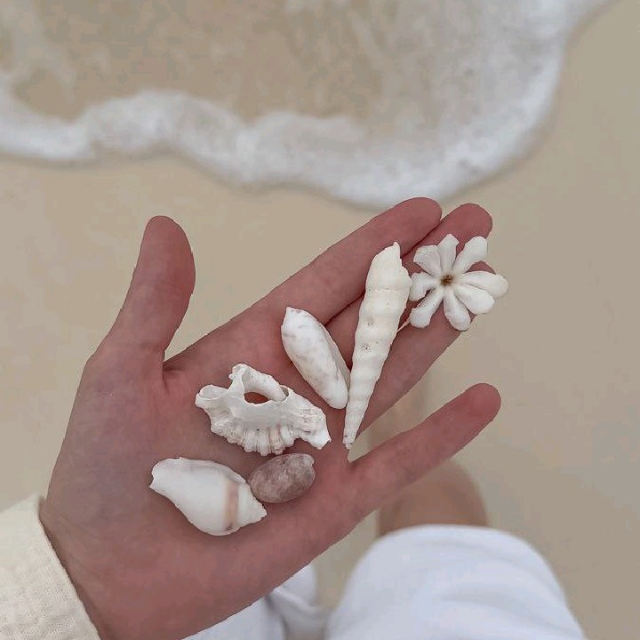madeby[ER]
