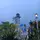 Rayhan_arr