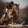 EverythingHorse