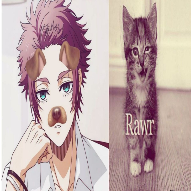 ✧𝓢𝓽𝓪𝓻_𝓕𝓸𝓻𝓮𝓿𝓮𝓻✧