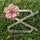 flordejardim