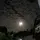 ardntry_