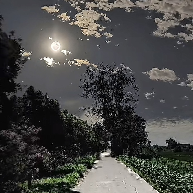 VE SẦU
