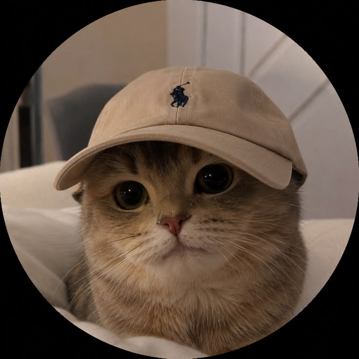 Cat CC