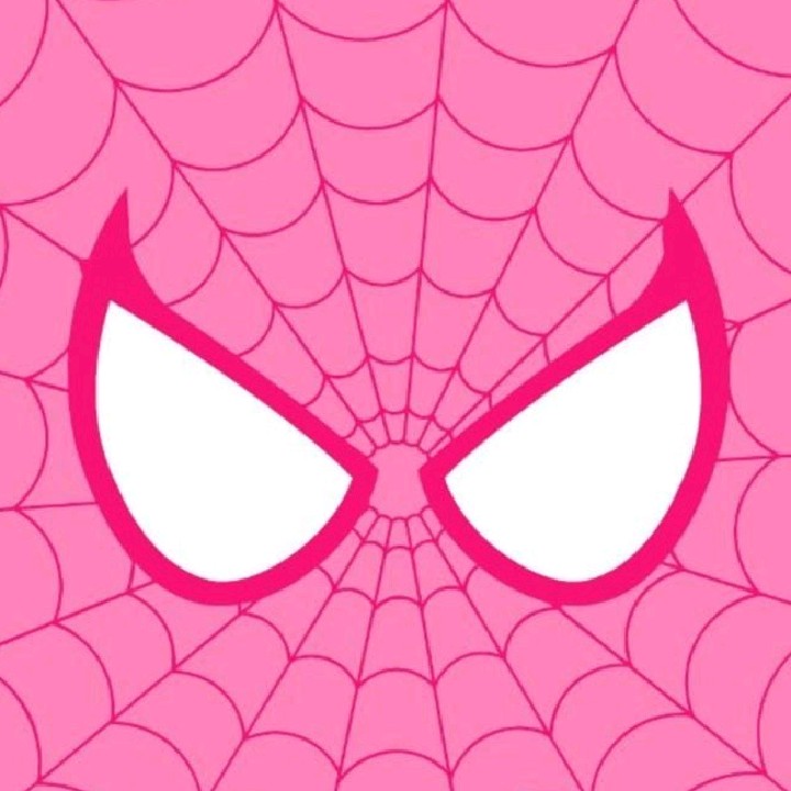 Spidy ER
