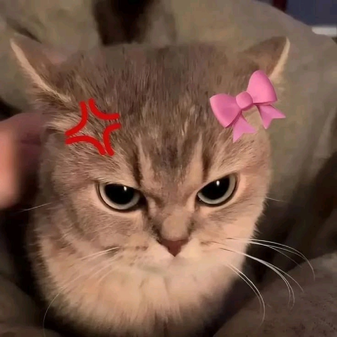 Faxy