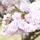 るぅな