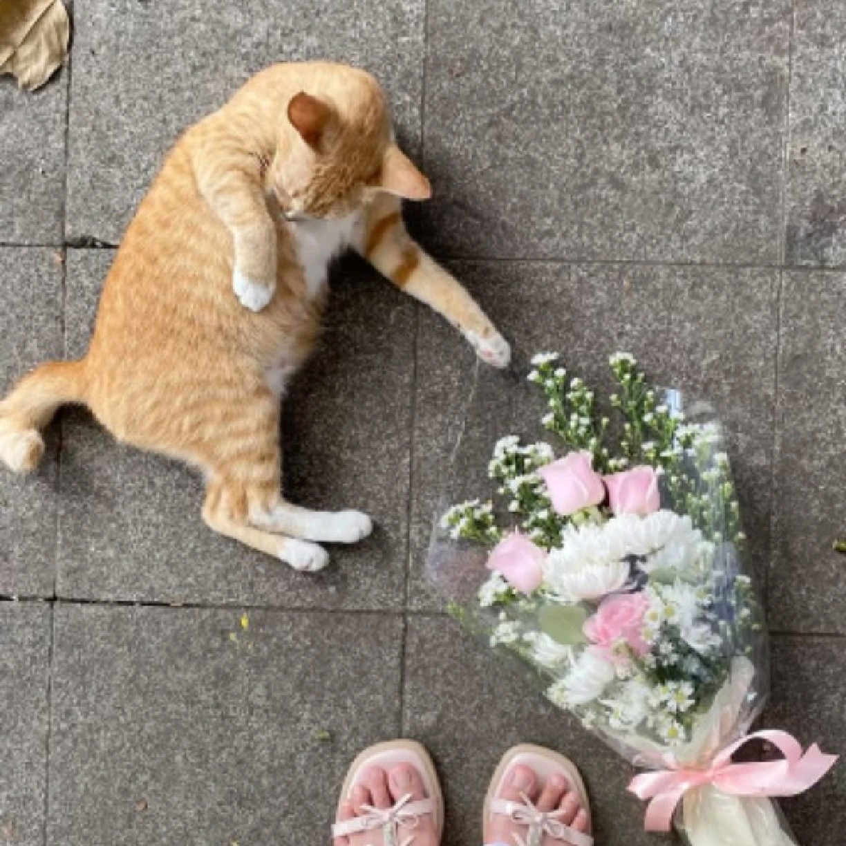 Rena🐈‍⬛ ER