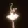 ballerina.fx 🩰˚˖𓍢 