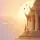 Meaw dhamma