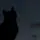 ᵖᵃˡᵒᵐᵃ
