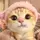 Just Moong Mink