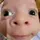BABI JAJA
