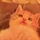 𝙰𝚢𝚊𝚑🧸ྀི⋆౨ৎ˚⟡˖ ࣪⋆. 𐙚 ˚