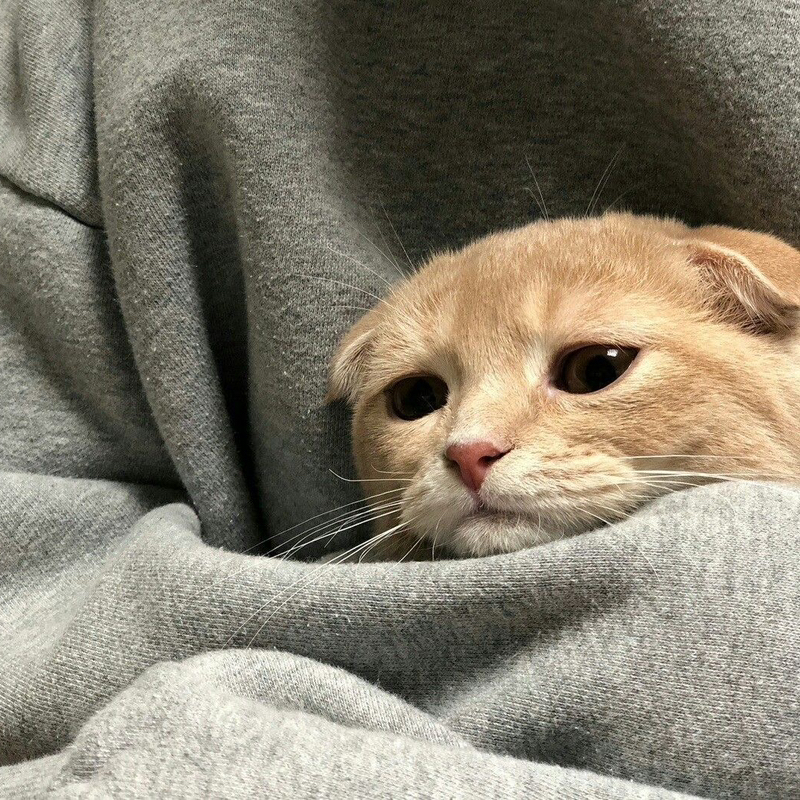 nắng