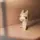 ゆたんぽ