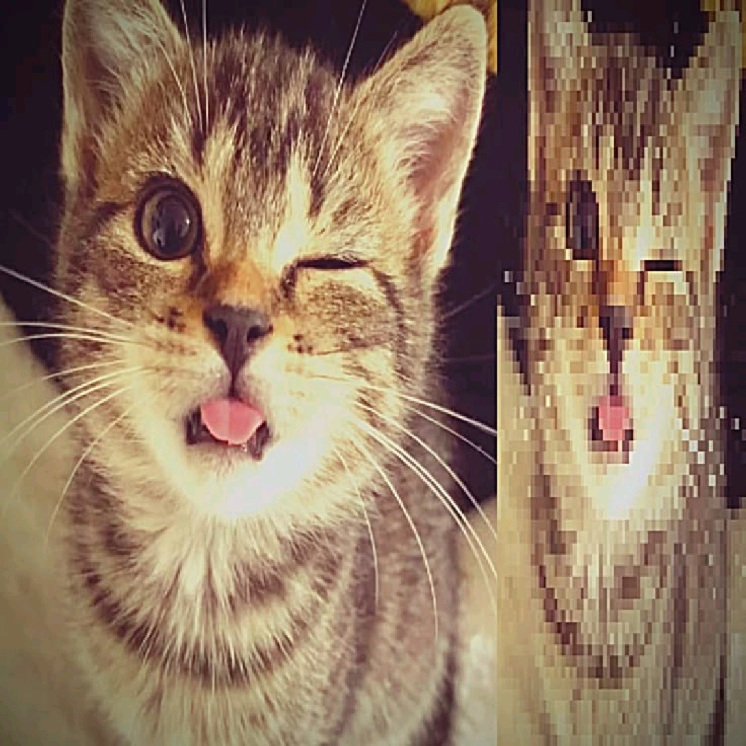 ⋆˚𝜗𝜚˚⋆arie😽