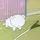 あちゃん