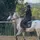 Sakina_K