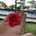 Ezz77 [Al]
