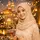 heriadi_smt