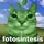 photosintezis_cat