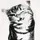 ˖ . ݁𝜗𝜚. ݁₊