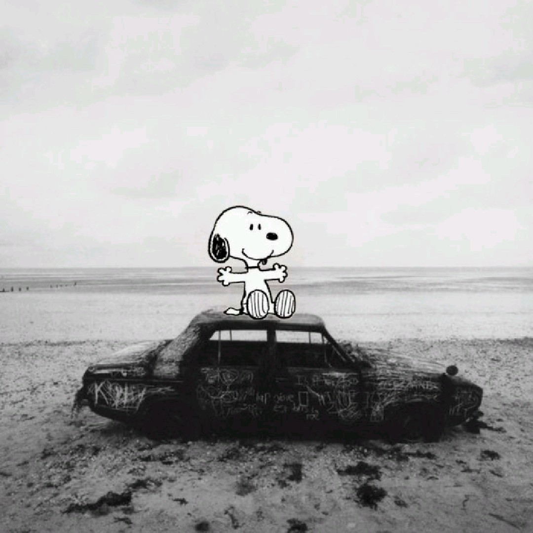 ꜱÁᴍᴜᴇĽ [ÀŘ]