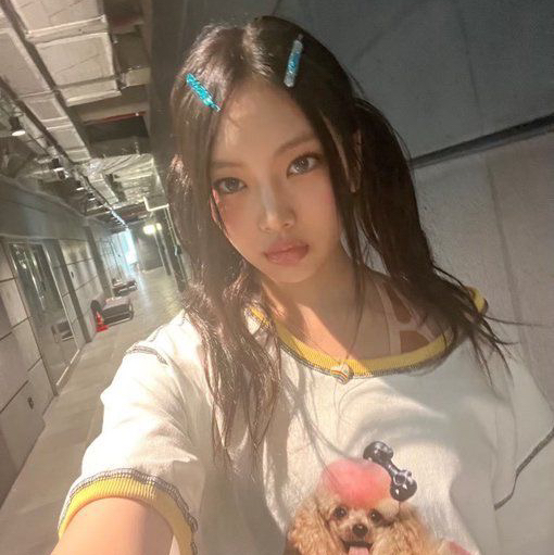 ꨄ𝒲ℴ𝓃𝒽ℯℯ༞ℋ𝓎ℯ𝒾𝓃ꨄ