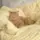 templateid [INA]