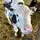🐄✝️Thatcountrygirl✝️🐄